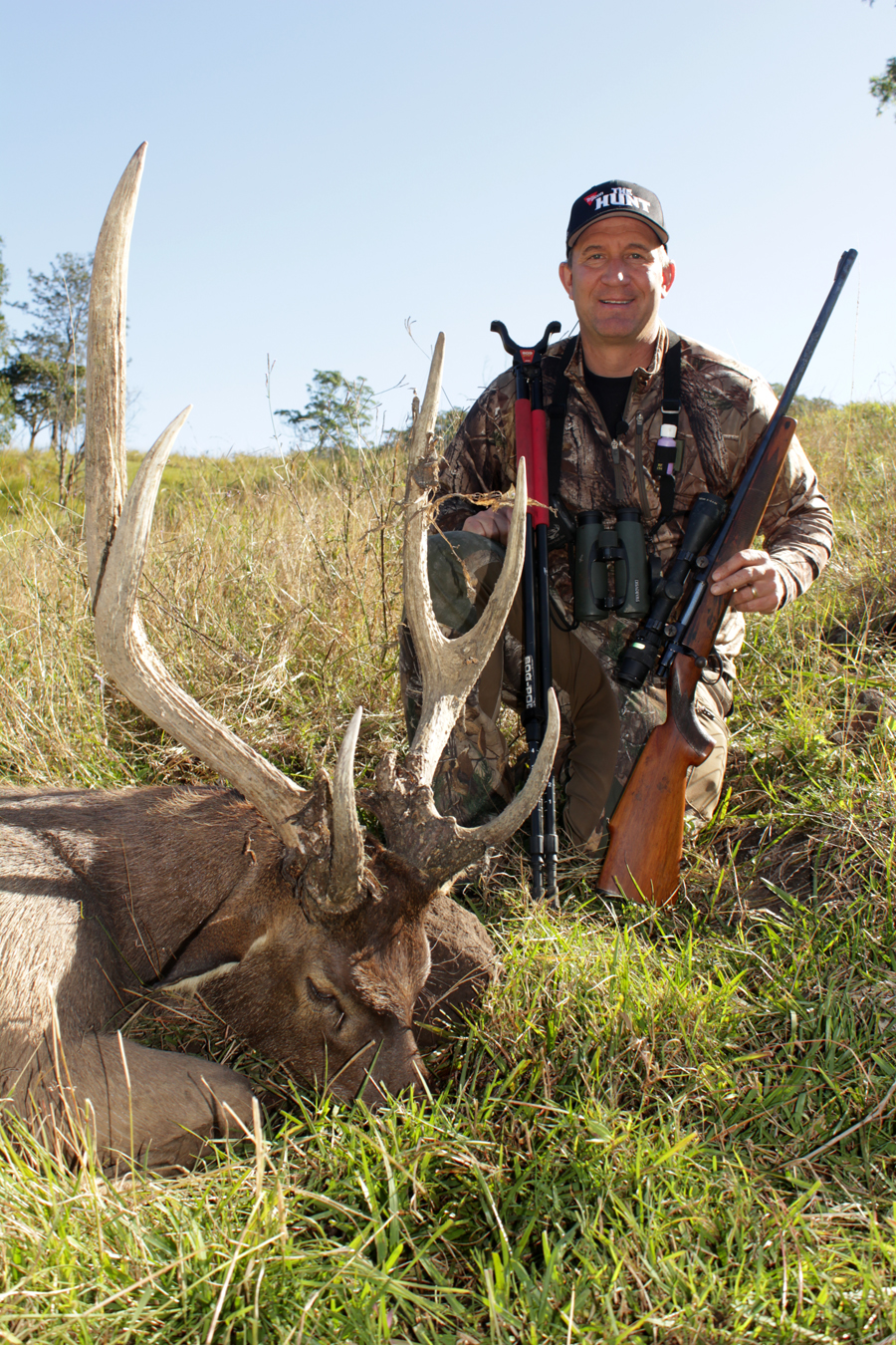 Australia Rusa Deer (1311) Scott Haugen
