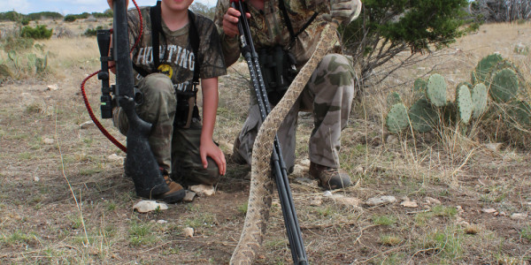 K&SrattlerKill14.5