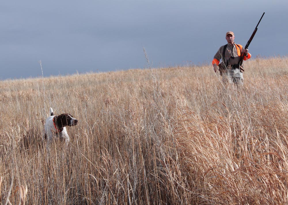 Eastern Oregon Pheasants Scott Haugen