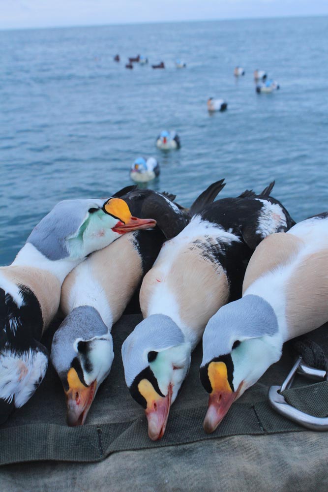 day six pix, the photography of john hartleroad: blog