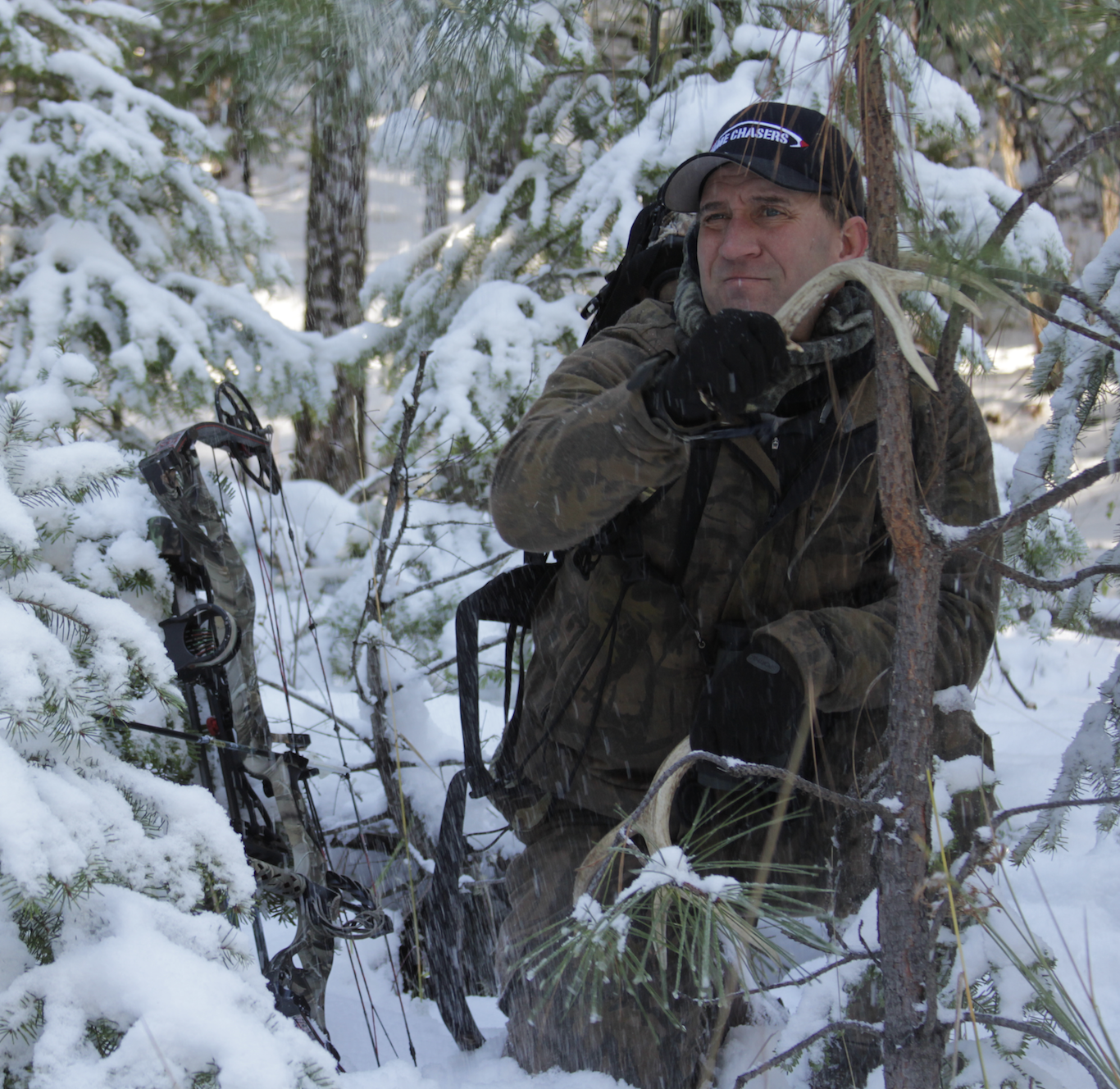 Rattling Blacktail Deer Scott Haugen