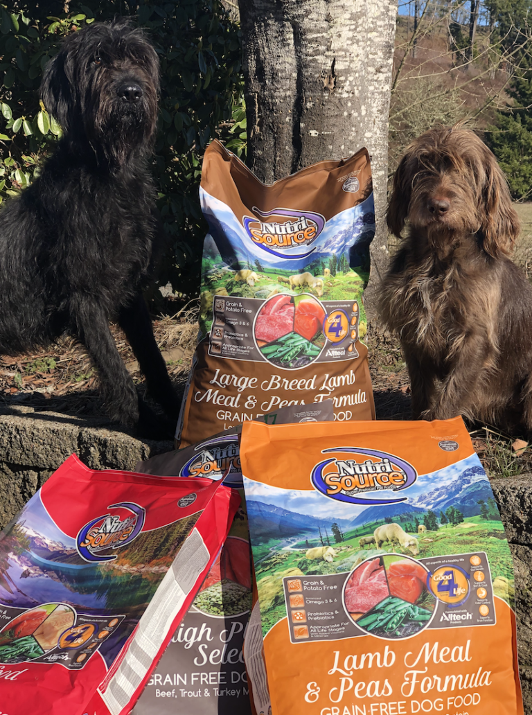 The Switch To NutriSource Dog Food Scott Haugen